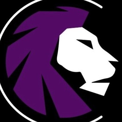 Confidence Logo